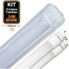 EUROPALAMP Kit 2 Tubes LED T8 24W Blanc Froid + Boitier Etanche 150cm
