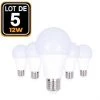 EUROPALAMP 5 Ampoules LED E27 12W Blanc Froid 6000K Haute Luminosité - Blanc Froid 6000K