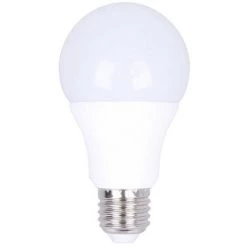 EUROPALAMP Ampoule LED E27 15W Blanc Froid 6000K Haute Luminosité - Blanc Froid 6000K