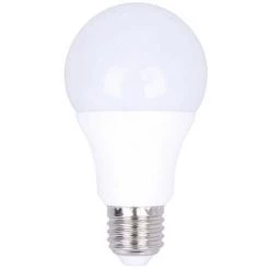 EUROPALAMP Ampoule LED E27 12W Blanc Froid 6000K Haute Luminosité - Blanc Froid 6000K